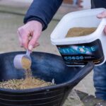 Staying In The Metazone this Winter