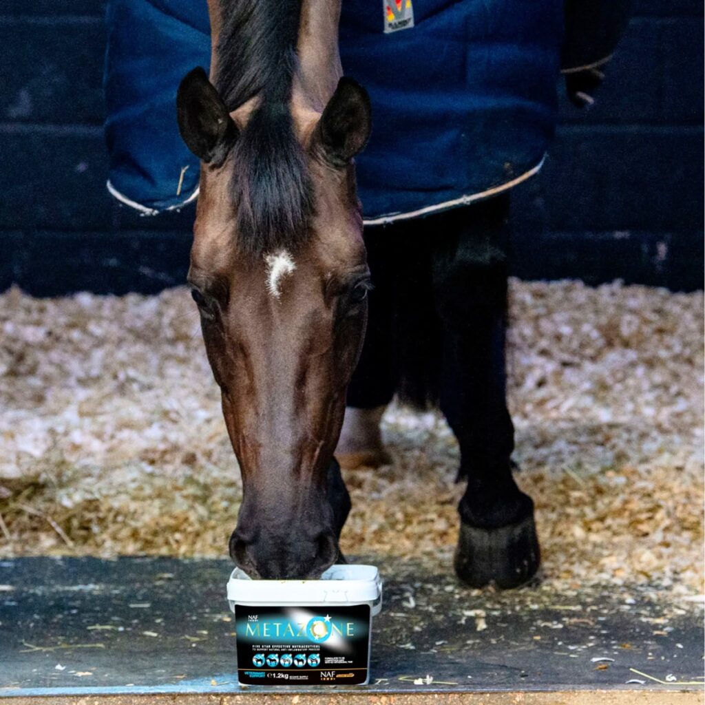 NAF Metazone Five Star Powder.