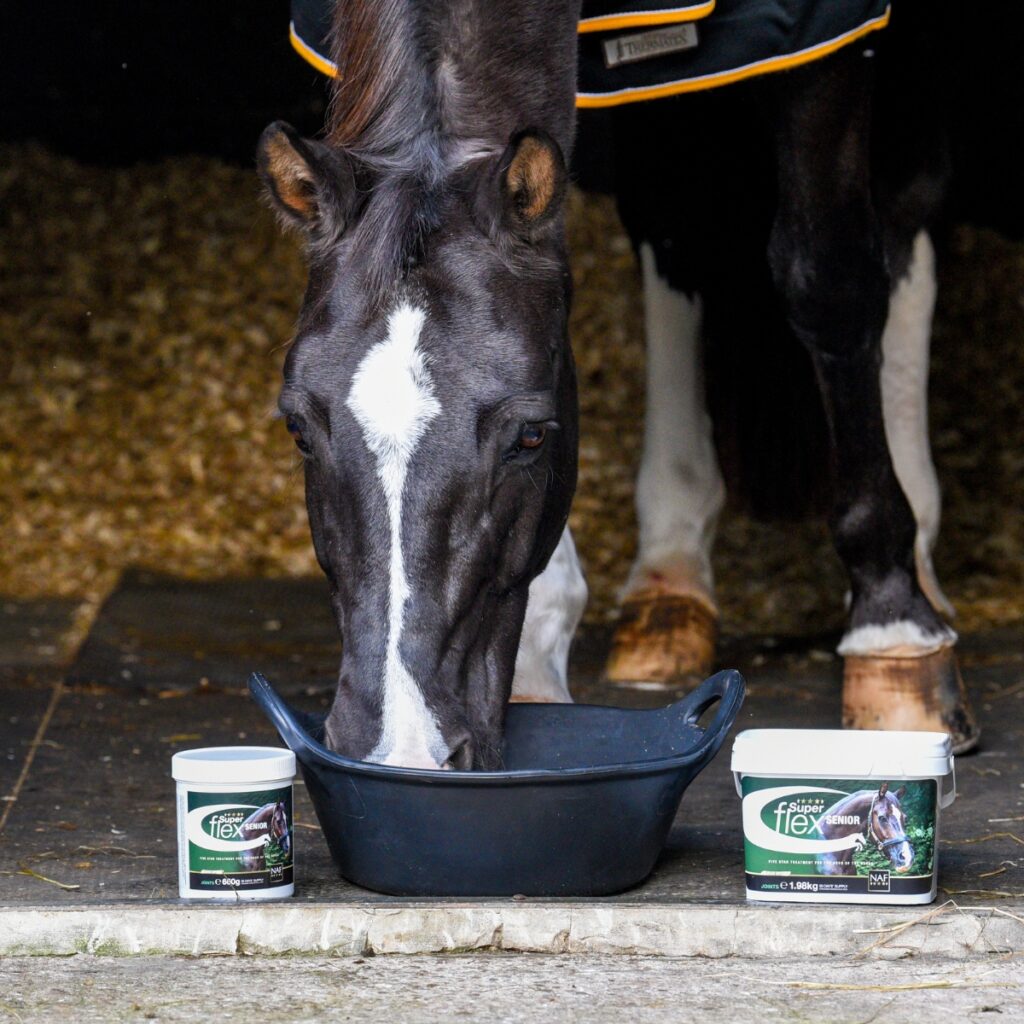 NAF Superflex Senior Powder.