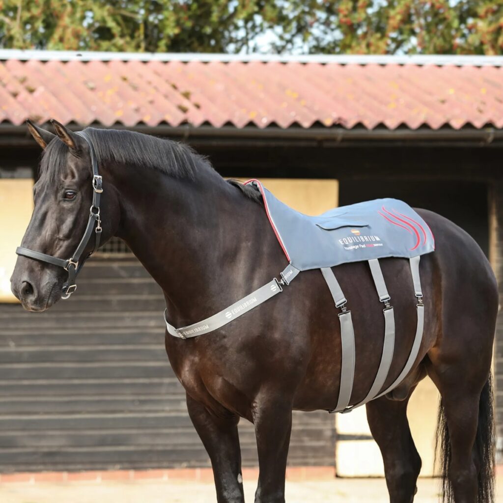 Equilibrium Massage Therapy: Heatsense Massage Back Pad.