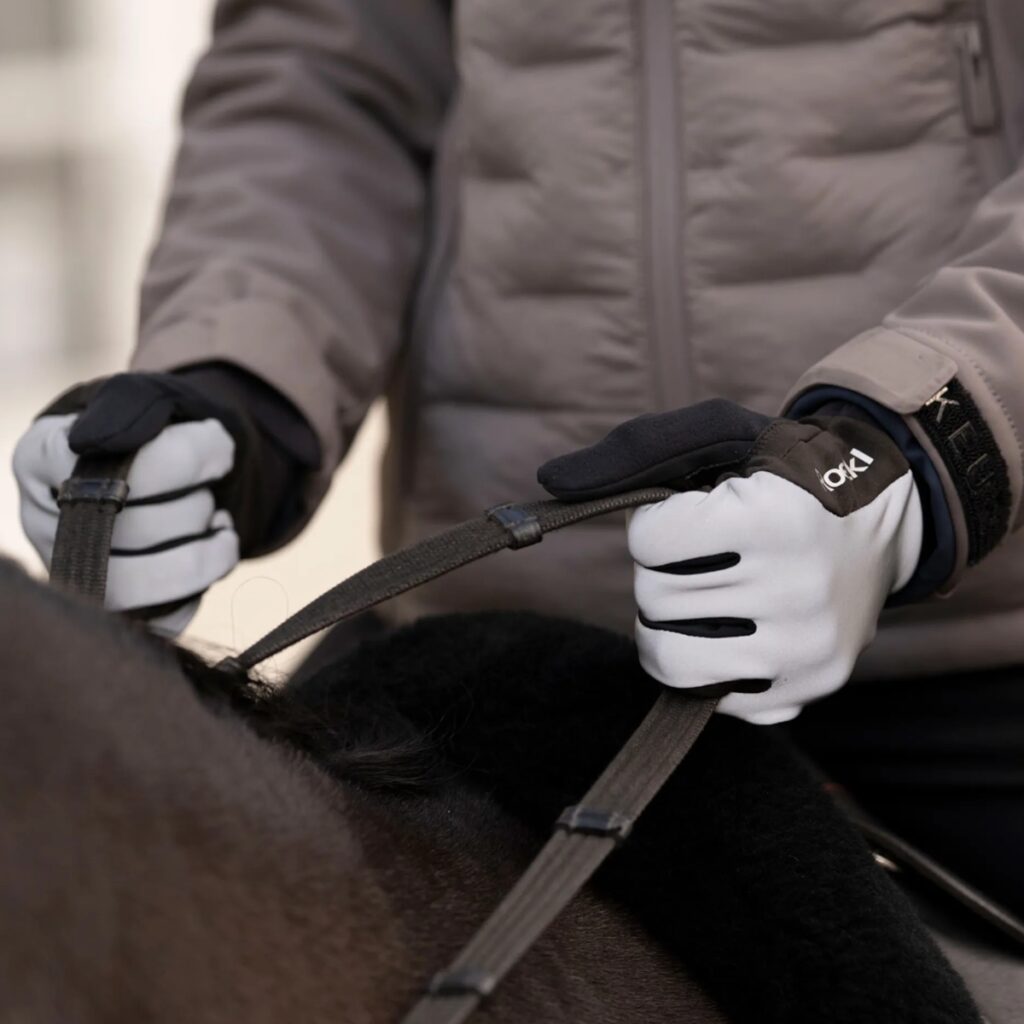 Roeckl Wolfach Riding Gloves - Silver Reflect.