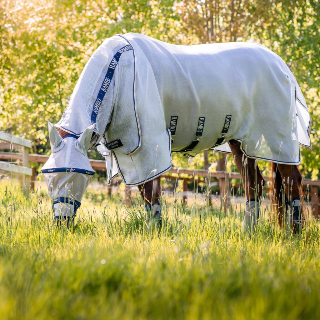 Horse grazing in Rambo fly rug.