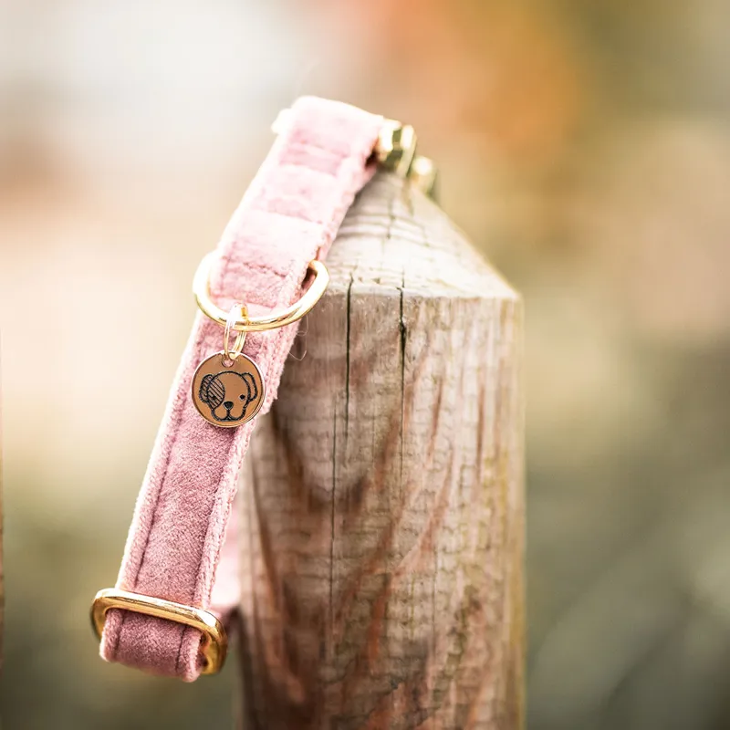 Kentucky Velvet Dog Collar - Soft Rose-3