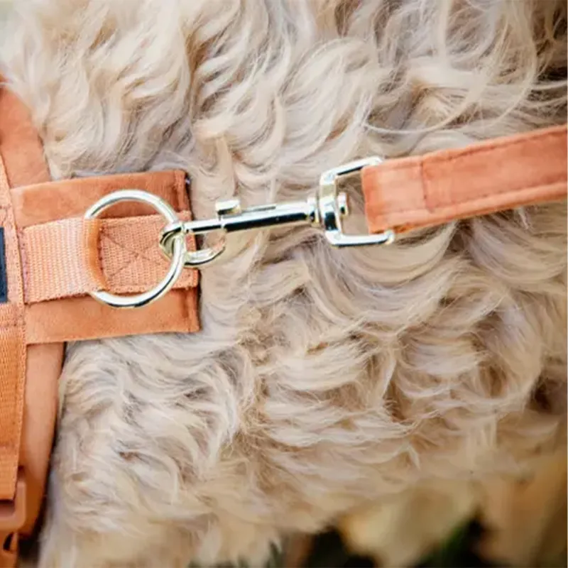 Kentucky Velvet Dog Lead - Orange-3