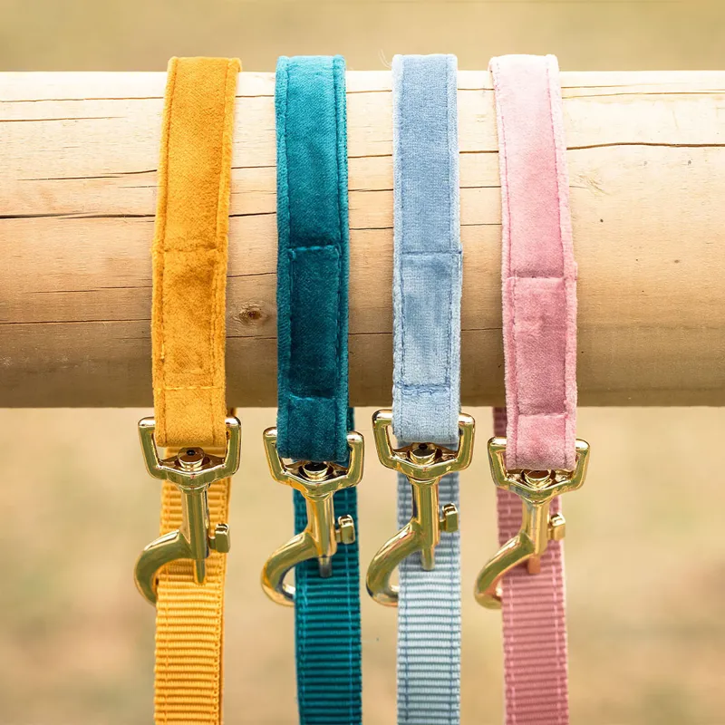 Kentucky Velvet Dog Lead - Emerald-5