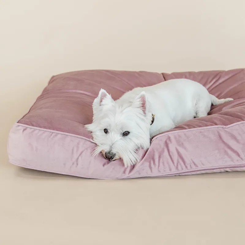 Kentucky Velvet Pillow Dog Bed - Old Rose