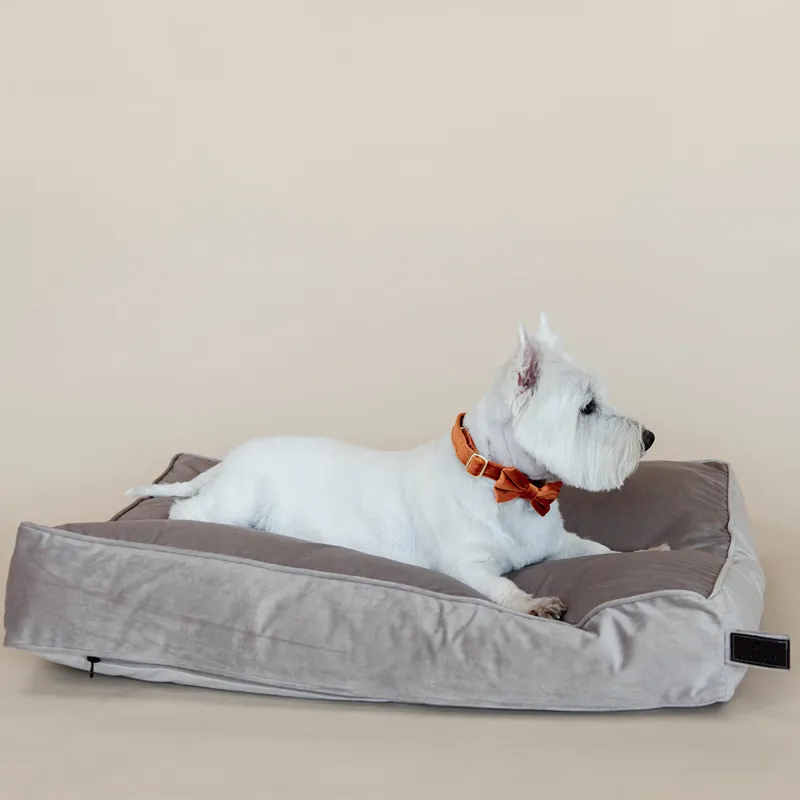 Kentucky Velvet Pillow Dog Bed - Beige-3