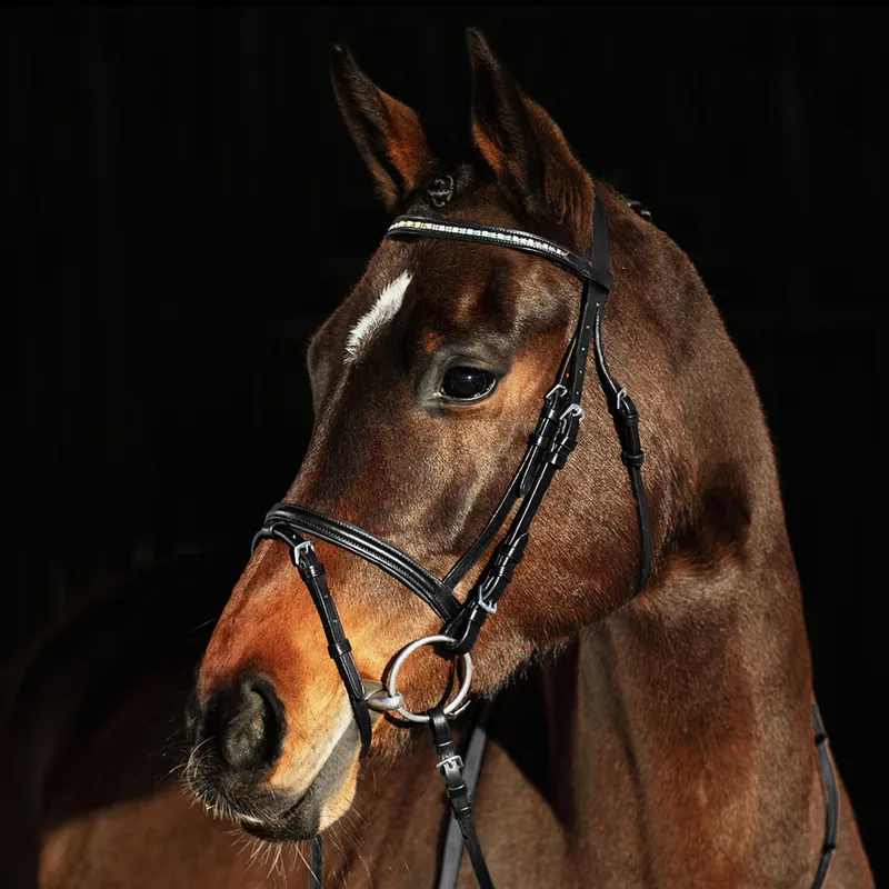 Horze Weston Flash Bridle Black