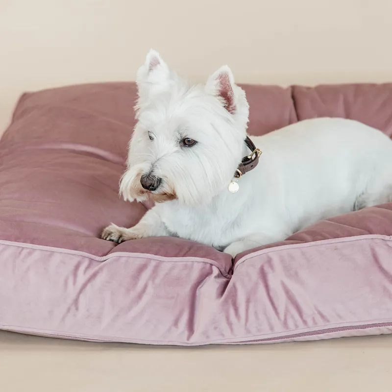 Kentucky Velvet Pillow Dog Bed - Old Rose-3