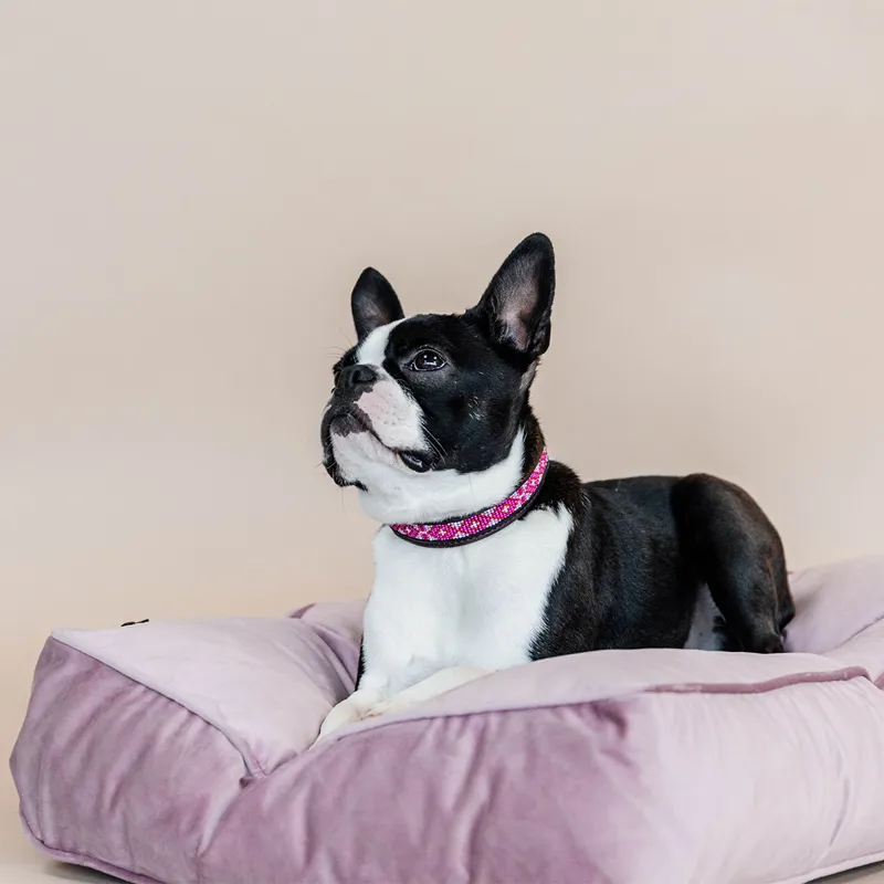 Kentucky Velvet Pillow Dog Bed - Old Rose-5