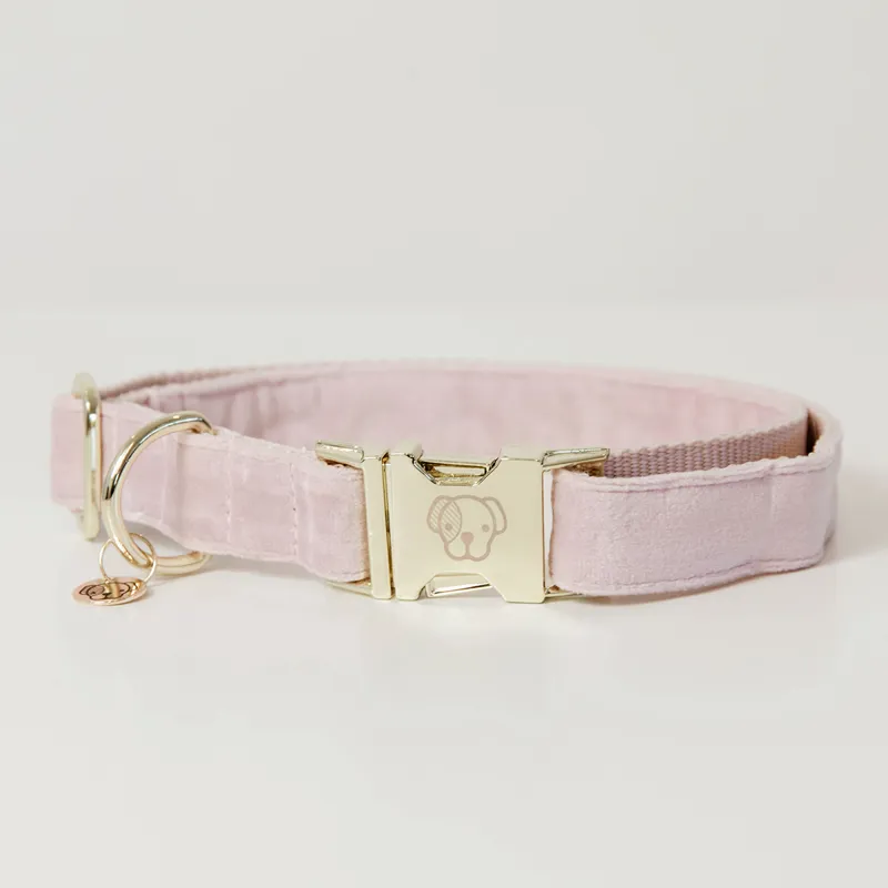 Kentucky Velvet Dog Collar - Soft Rose-1