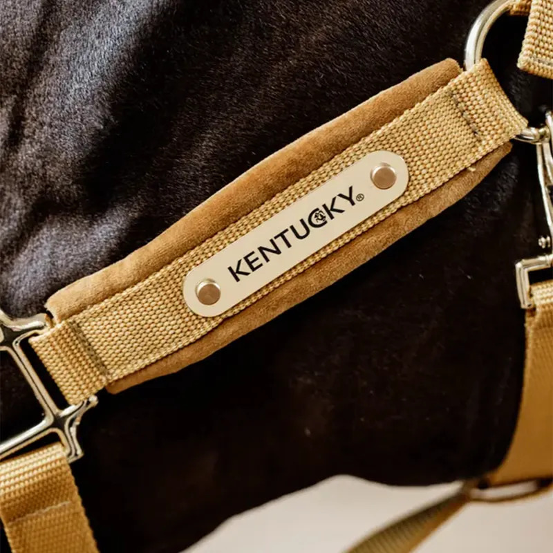 Kentucky Velvet Headcollar - Mustard-2