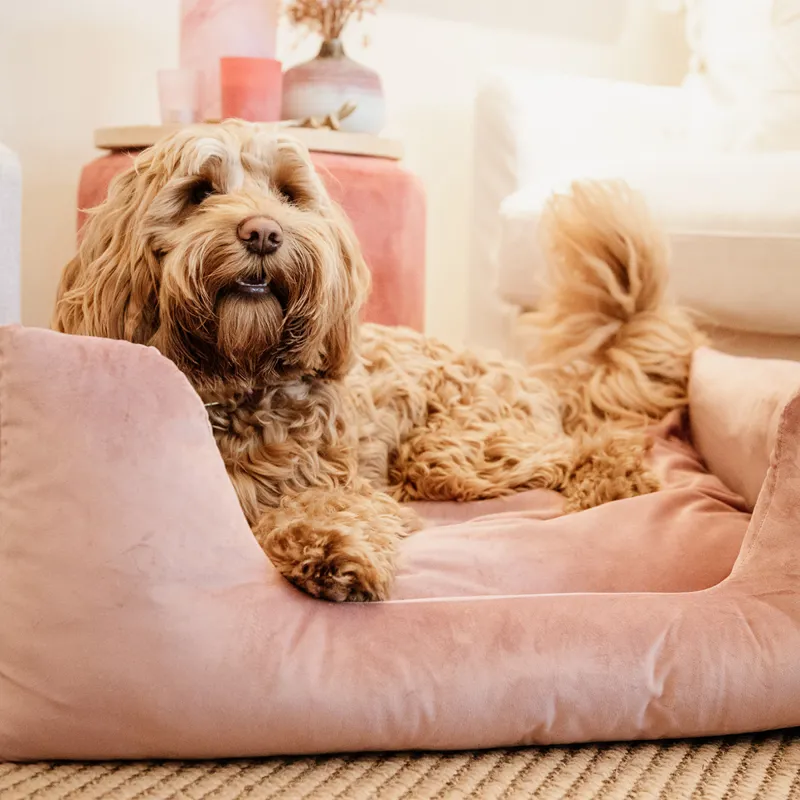 Kentucky Velvet Dog Bed - Old Rose