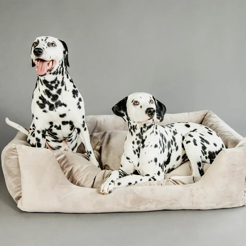 Kentucky Velvet Dog Bed - Beige
