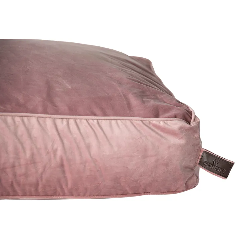 Kentucky Velvet Pillow Dog Bed - Old Rose-8
