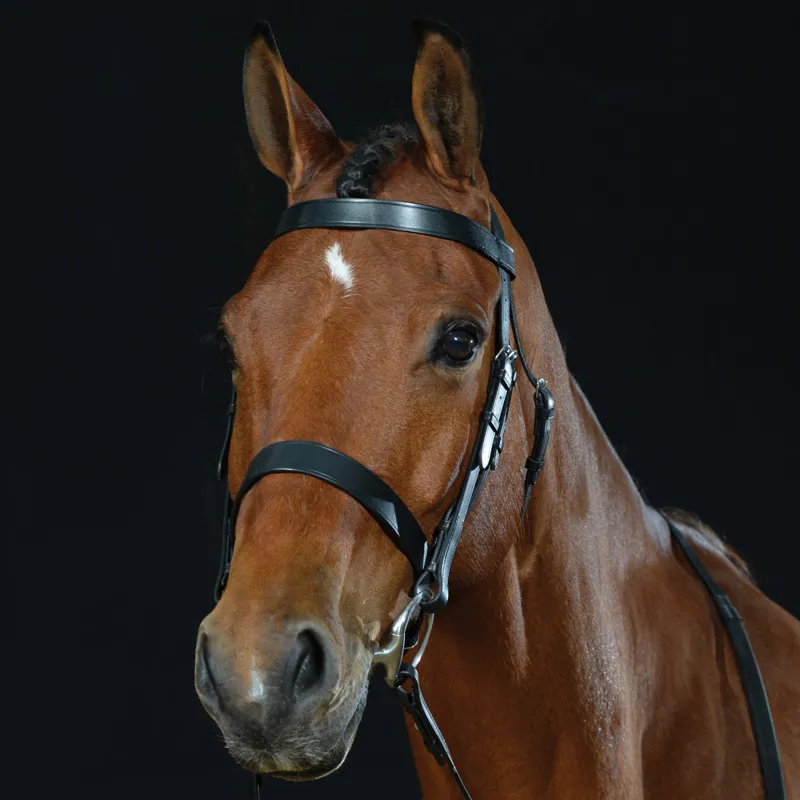 Collegiate Hunt Cavesson Bridle with Reins Black