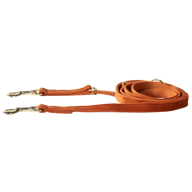 Kentucky Velvet Dog Lead - Orange-2