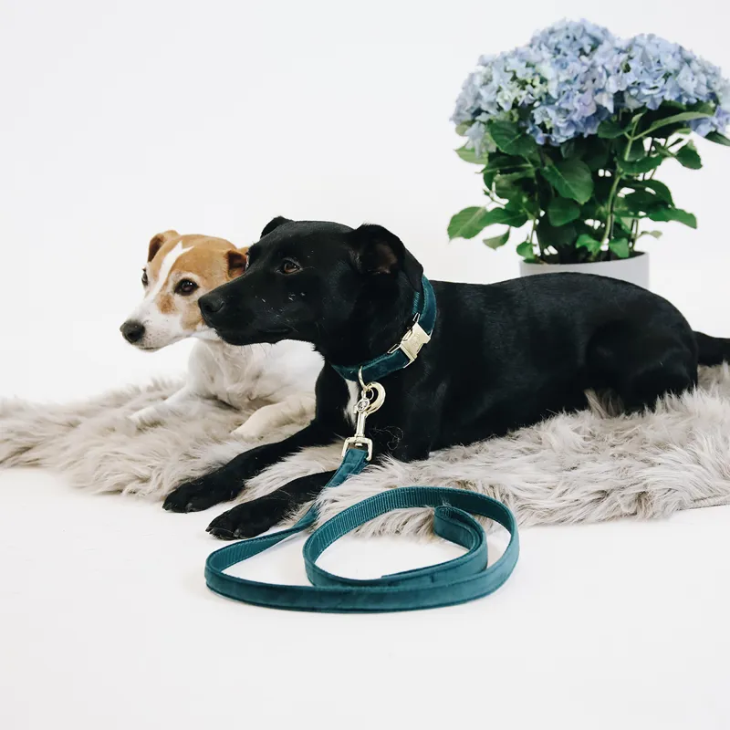 Kentucky Velvet Dog Lead - Emerald-1