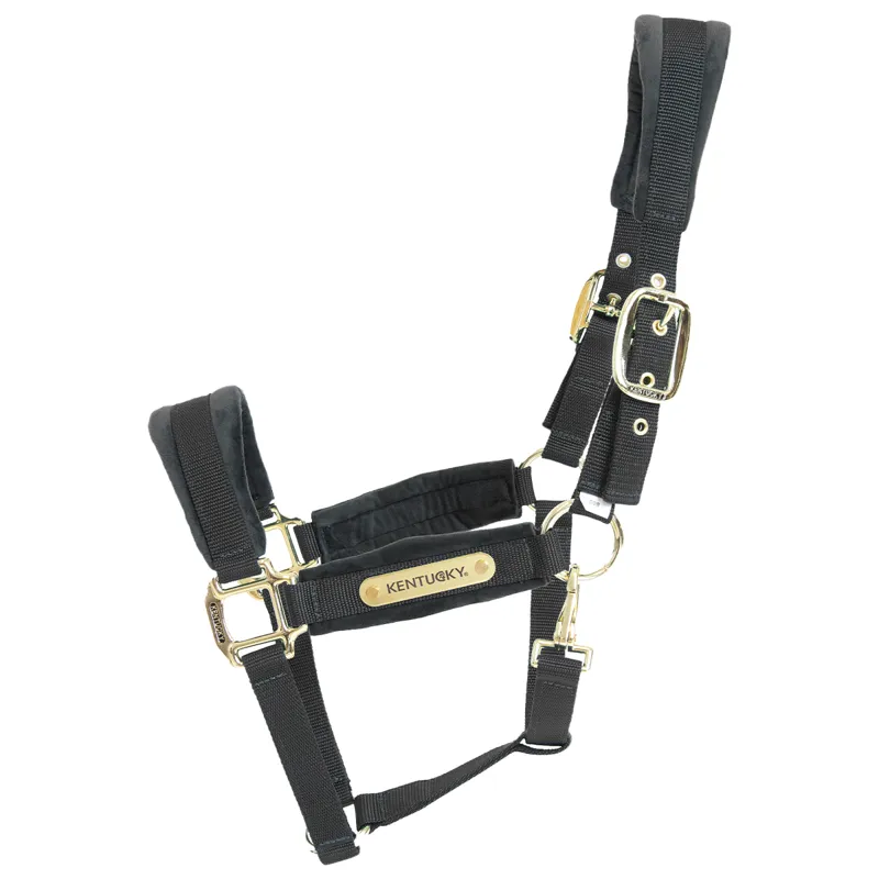 Kentucky Velvet Headcollar - Black-1