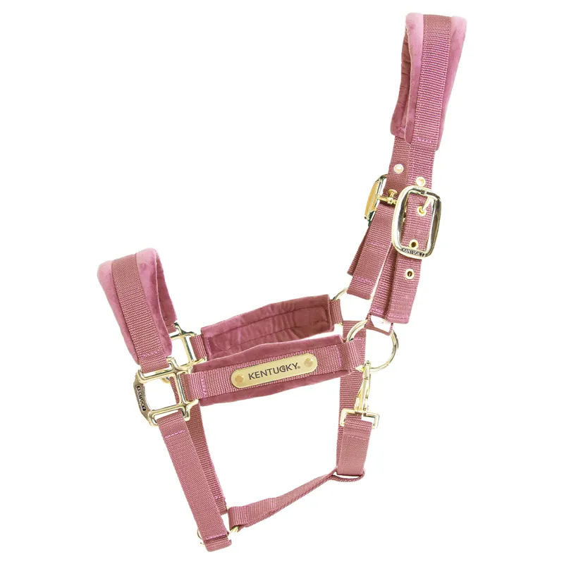 Kentucky Velvet Headcollar - Old Rose-1
