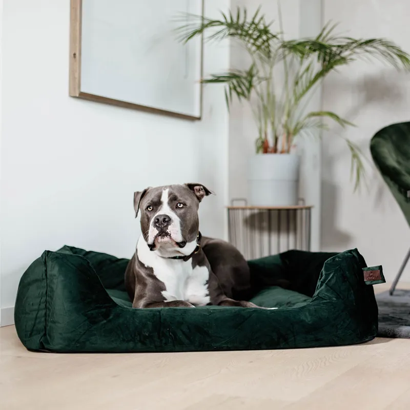 Kentucky Velvet Dog Bed - Pine Green