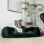 Kentucky Velvet Dog Bed - Pine Green