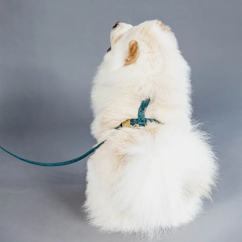 Kentucky Velvet Loop Dog Harness - Emerald-7