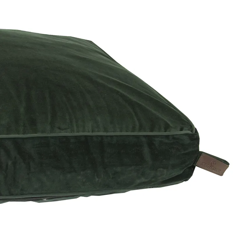 Kentucky Velvet Pillow Dog Bed - Pine Green-6