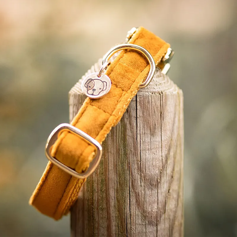 Kentucky Velvet Dog Collar - Mustard-1