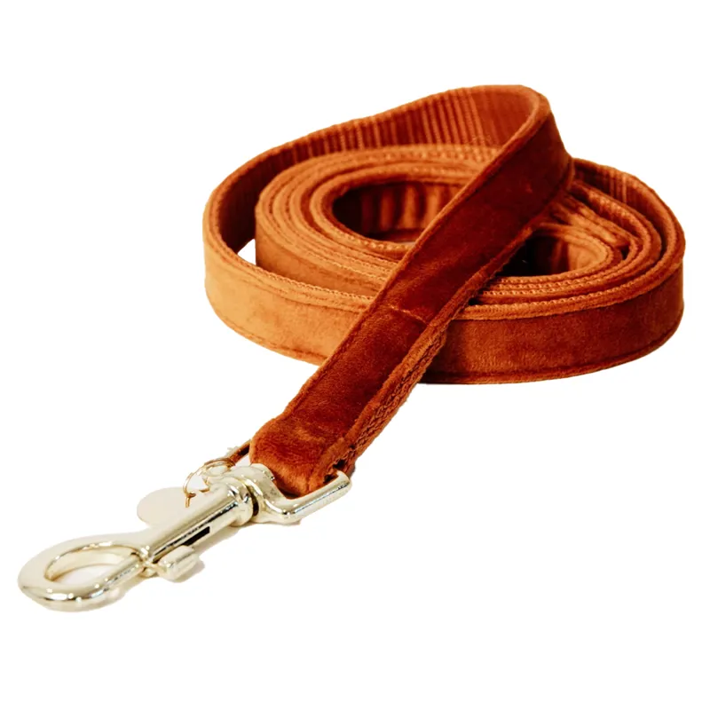 Kentucky Velvet Dog Lead - Orange