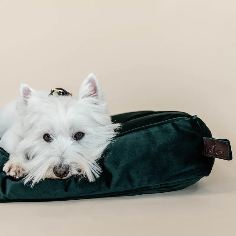 Kentucky Velvet Pillow Dog Bed - Pine Green-8