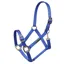 ARMA Nylon Adjustable Headcollar - Blue