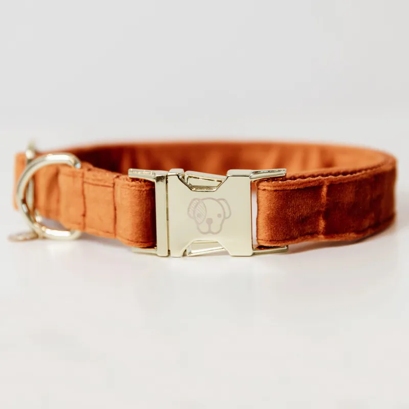 Kentucky Velvet Dog Collar - Orange-1