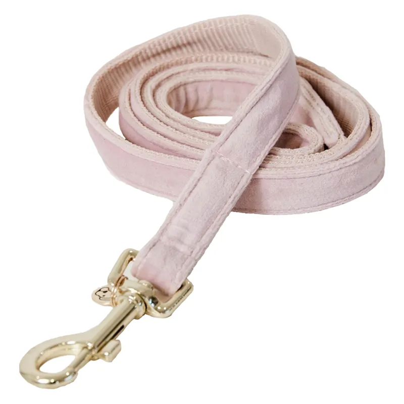 Kentucky Velvet Dog Lead - Soft Rose