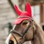 Kentucky Wellington Velvet Fly Veil - Red