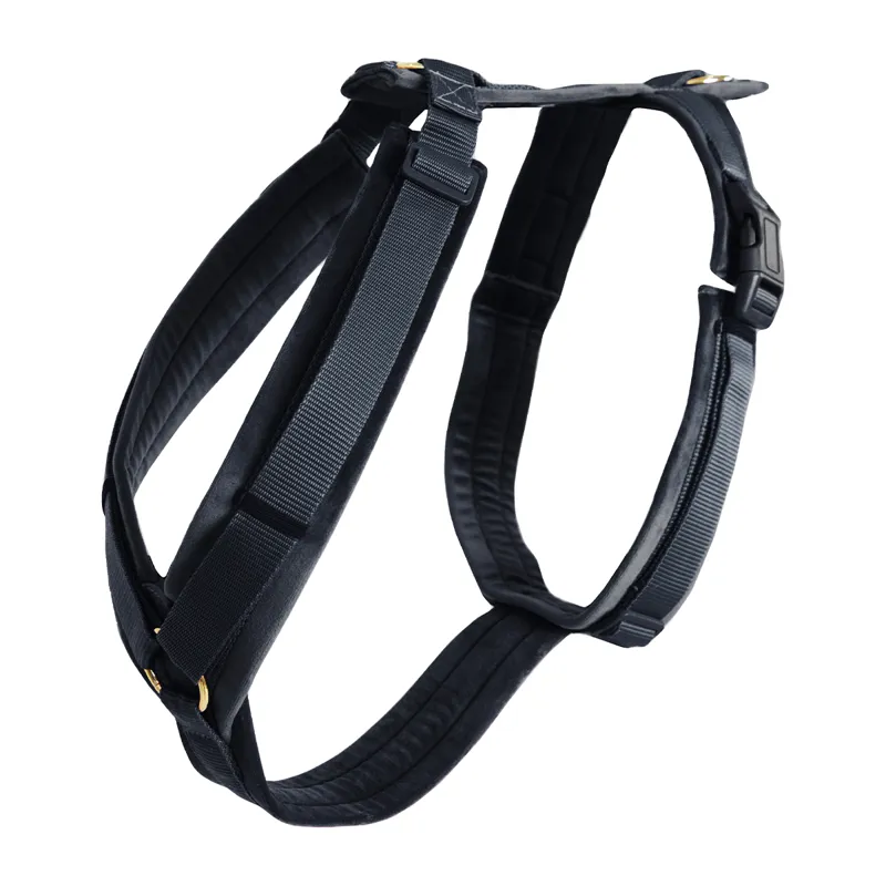 Kentucky Velvet Active Dog Harness - Black-1