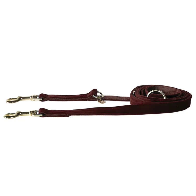 Kentucky Velvet Dog Lead - Bordeaux-1
