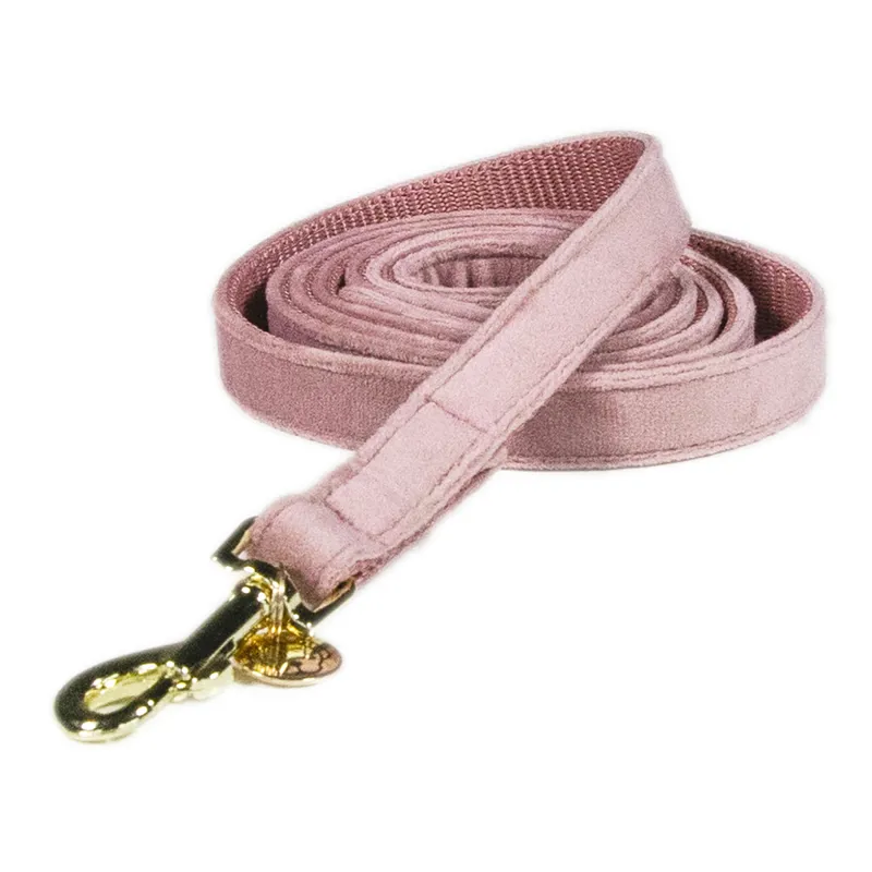 Kentucky Velvet Dog Lead - Old Rose-1