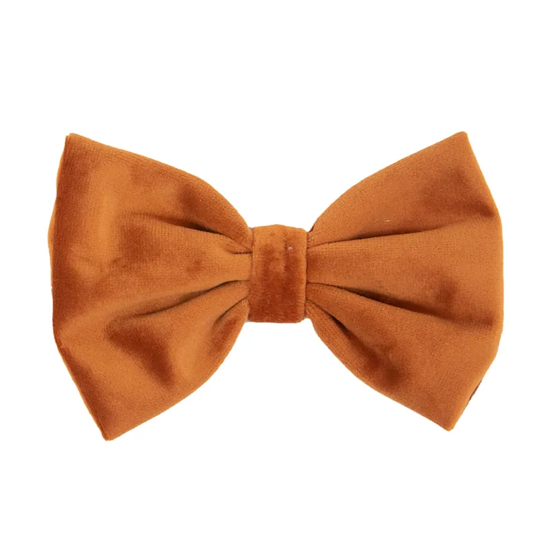 Kentucky Velvet Dog Bow Tie - Orange-1