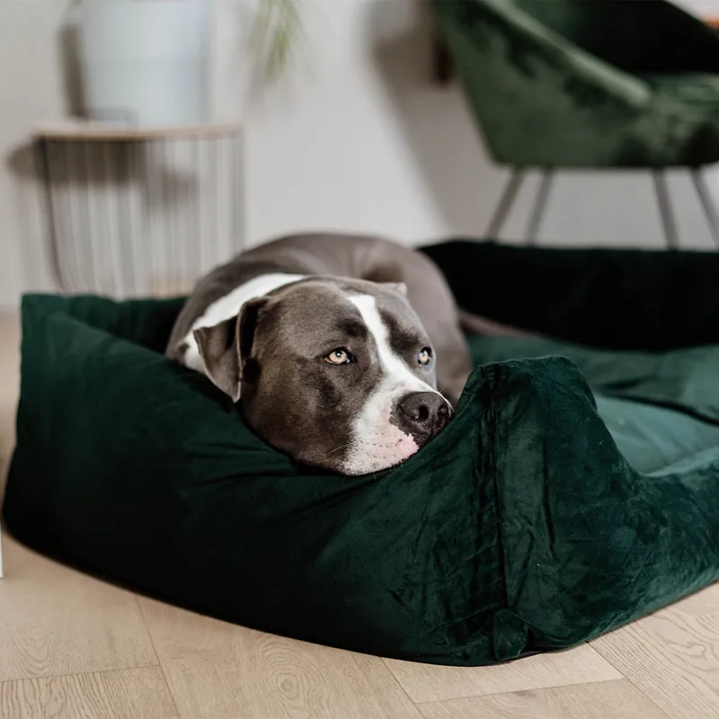 Kentucky Velvet Dog Bed - Pine Green-7