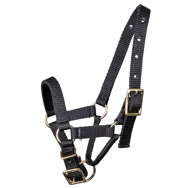 Waldhausen Alpaca Headcollar - Black