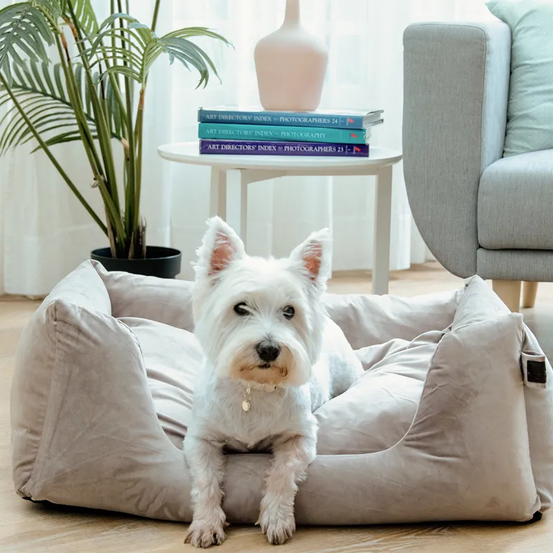 Kentucky Velvet Dog Bed - Beige-7