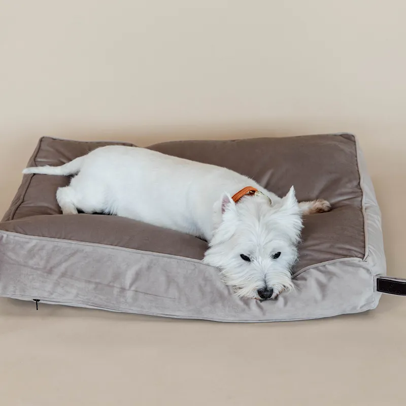 Kentucky Velvet Pillow Dog Bed - Beige-7