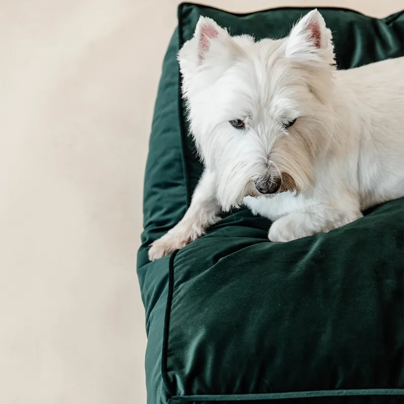Kentucky Velvet Pillow Dog Bed - Pine Green-4