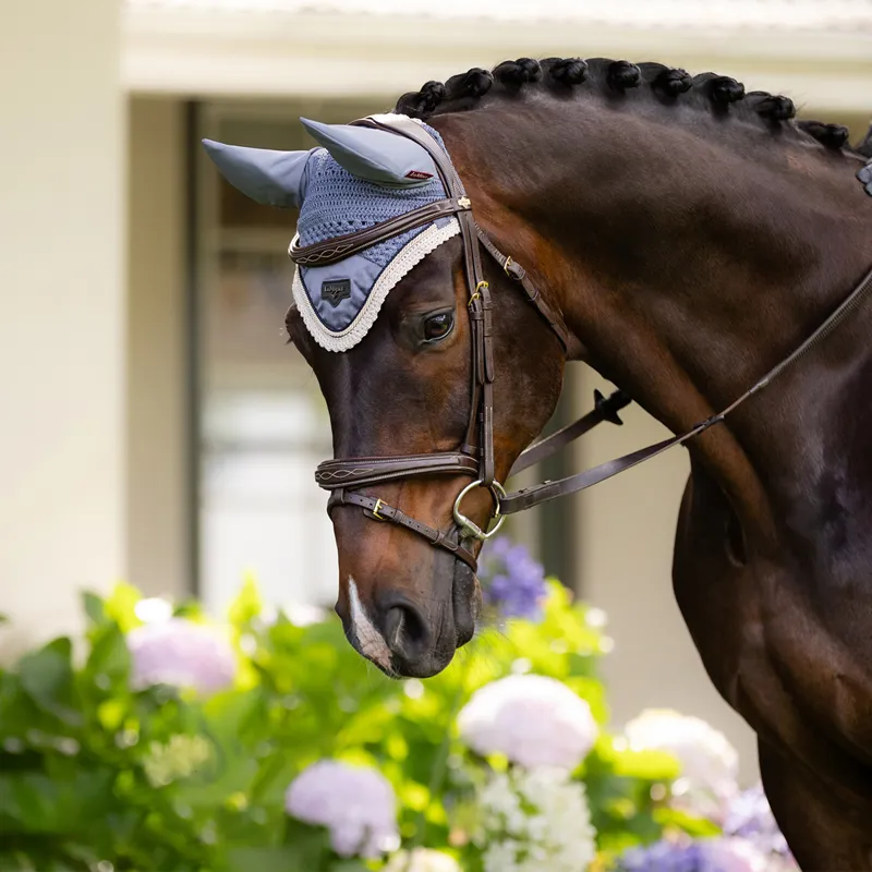 LeMieux Loire Fly Hood - Jay Blue-4