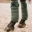 Kentucky Velvet Pearls Polar Fleece Bandages - Pine Green