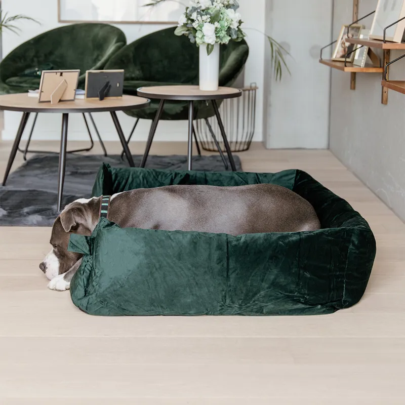 Kentucky Velvet Dog Bed - Pine Green-10