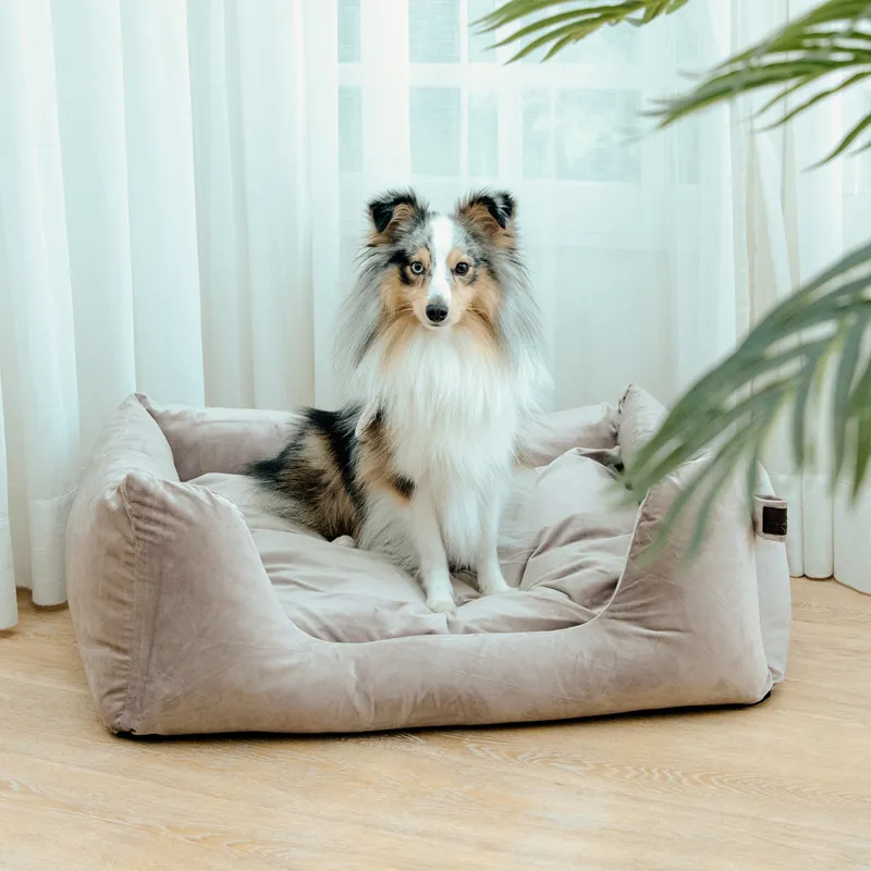 Kentucky Velvet Dog Bed - Beige-5