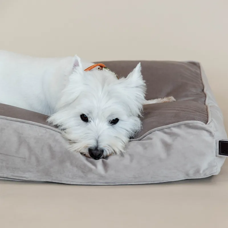 Kentucky Velvet Pillow Dog Bed - Beige-5