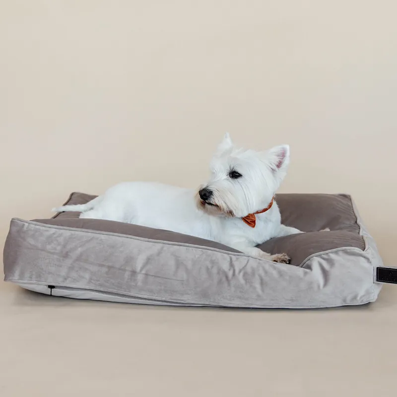 Kentucky Velvet Pillow Dog Bed - Beige